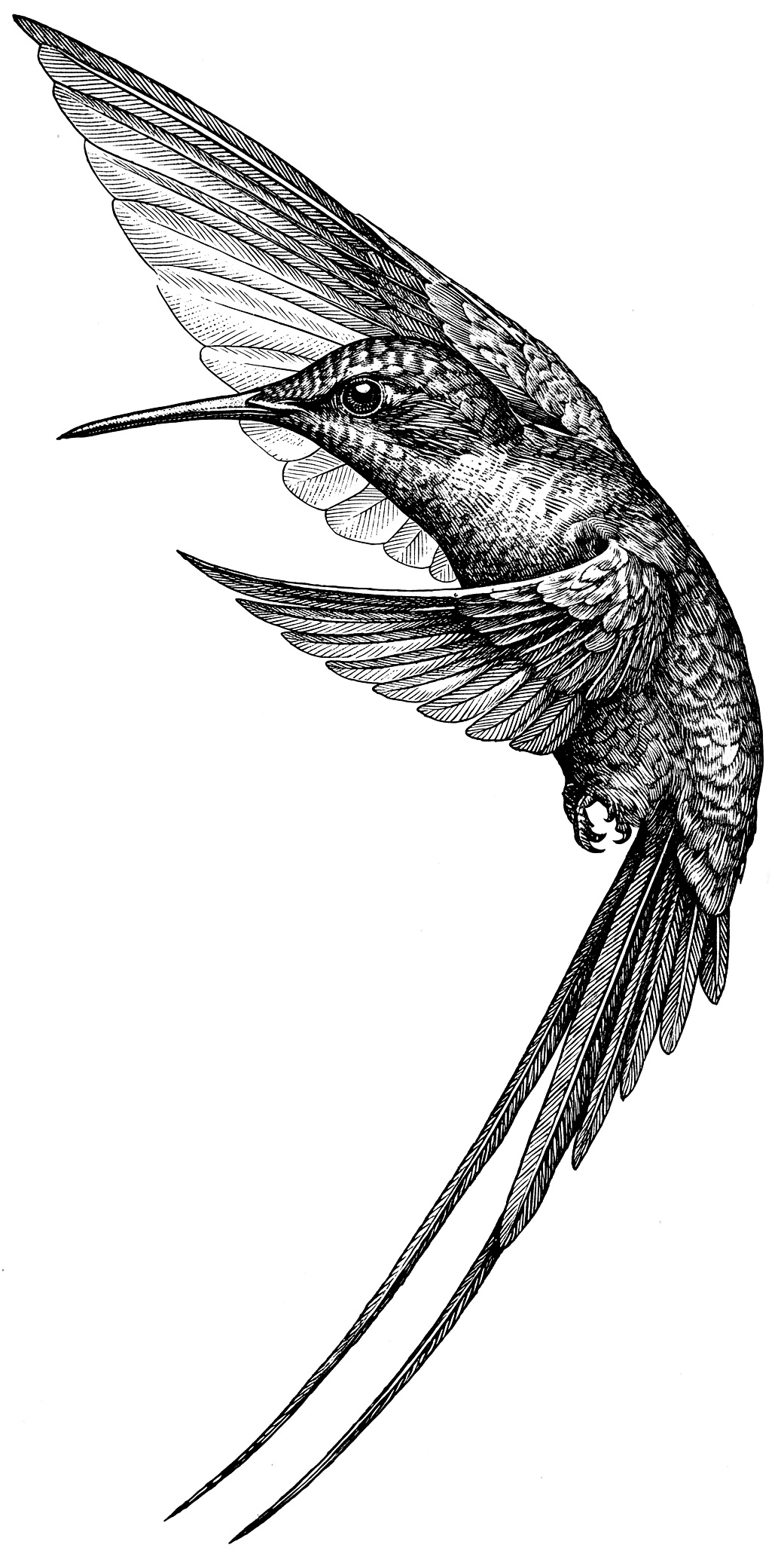 Intro - IGRA