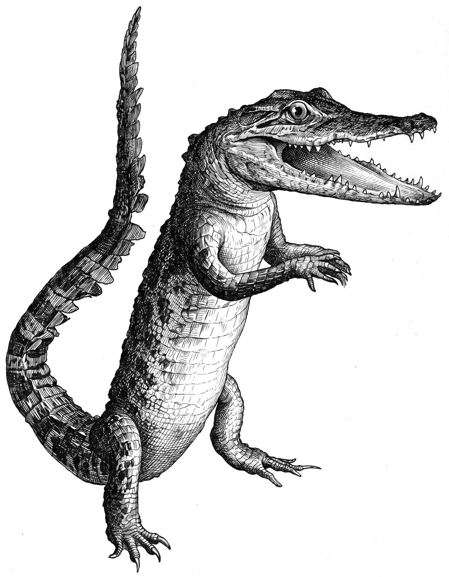 Intro - IGRA