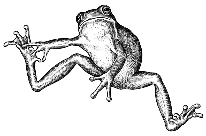 Intro - IGRA