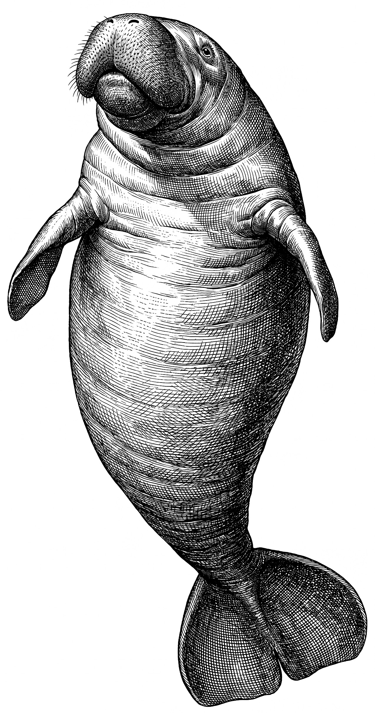 Intro - IGRA